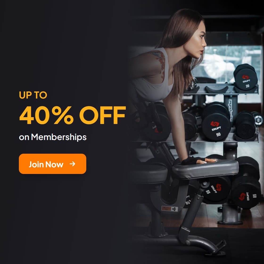 Gym & Fitness